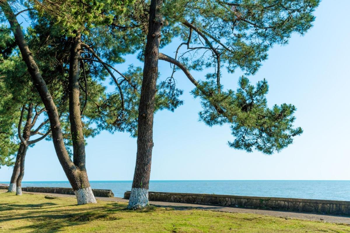 Коттеджные Домики Лдзаа Lidzava Exterior foto